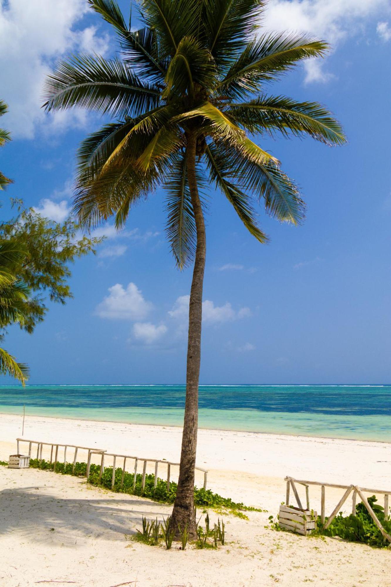 Pili Pili Orient Beach Resort Bwejuu Zewnętrze zdjęcie